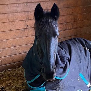 Meet your Posher, Robyn